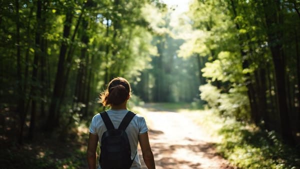 싱그러운 숲길을 걷는 사람의 뒷모습. 햇살이 나뭇잎 사이로 비추는 평화로운 장면.